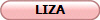LIZA